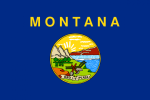 Flag of Montana - Montana Goverment Hacked