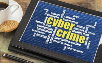 Growth of cybercrime is ‘ruthless’